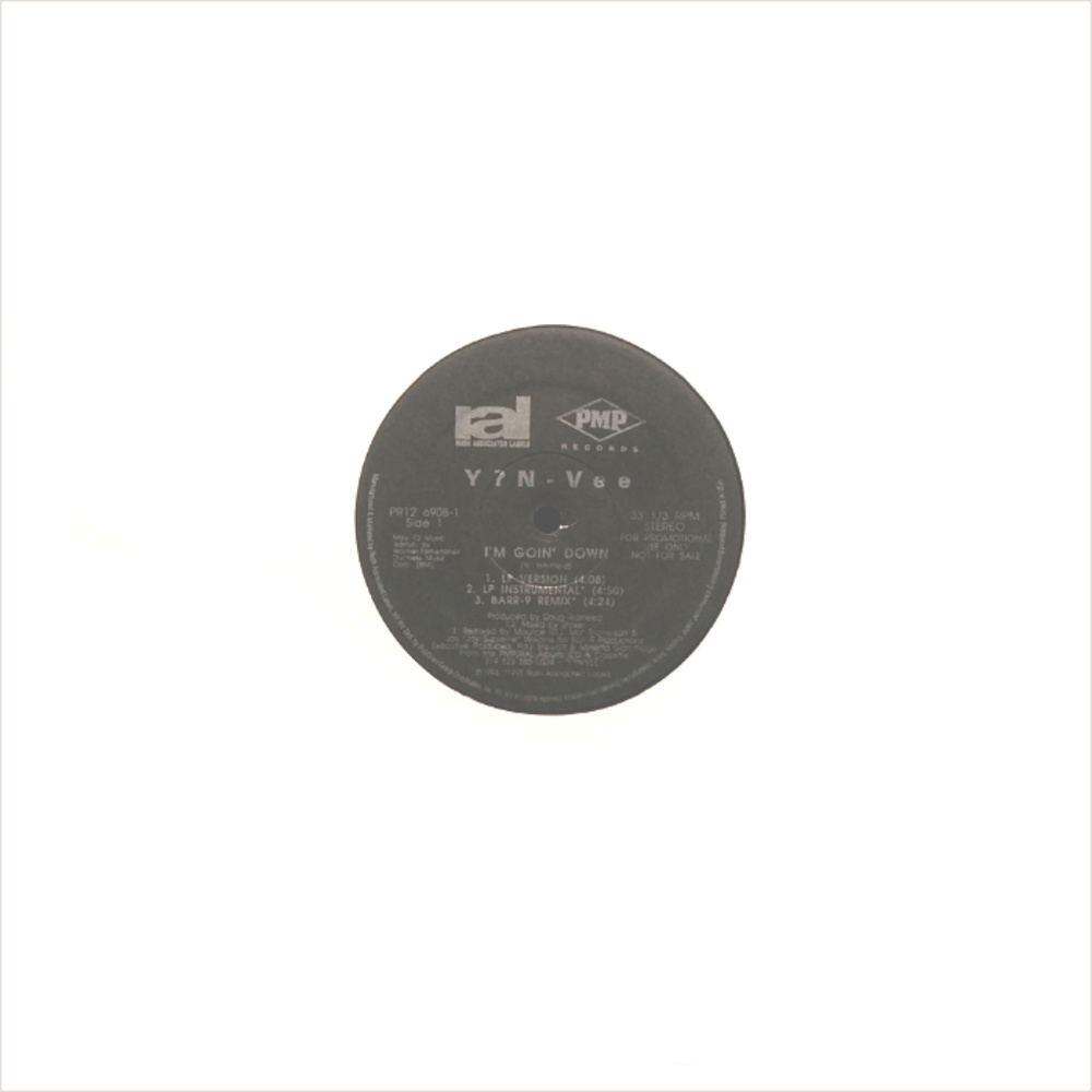 V ? N - Vee - I'm Goin' Down | 12" Vinyl | 1994